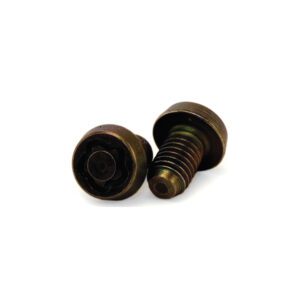 Two bronze-colored security screws.